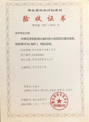 从抗疫良方到餐桌新宠 武汉成功试种抗病毒板蓝根青菜“菘油1号”