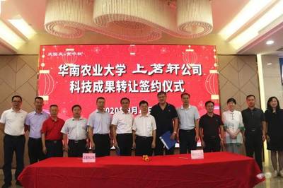 新华章，耀茶界 上茗轩旗舰店开业庆典暨华南农业大学科技成果转让签约仪式圆满落幕